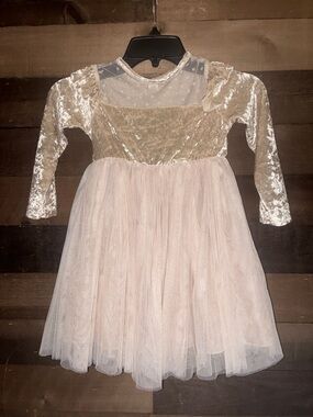 Amazon Gold Velvet and Pink Tulle Party Dress